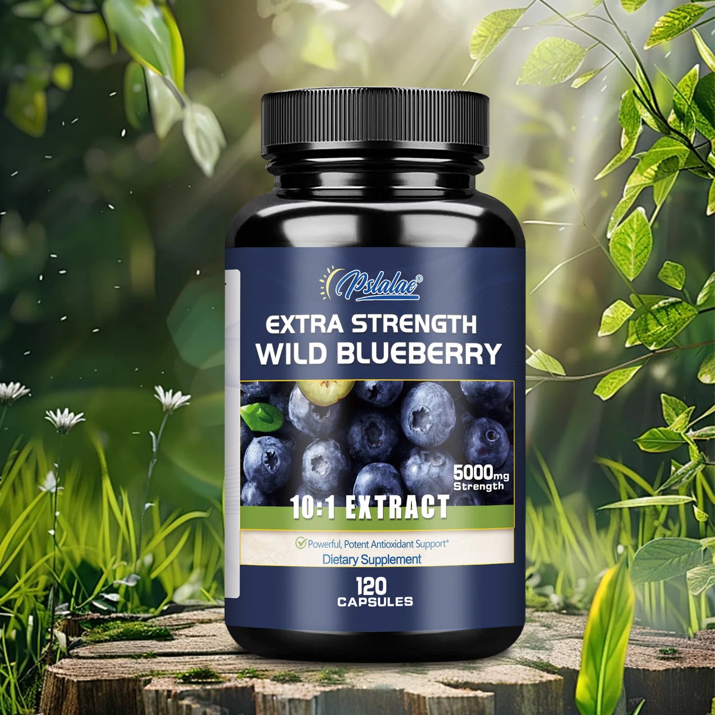 Wild Blueberry Capsules - Good for Brain and Cardiovascular Health, Protects Vision, Antioxidant - 120 Capsules