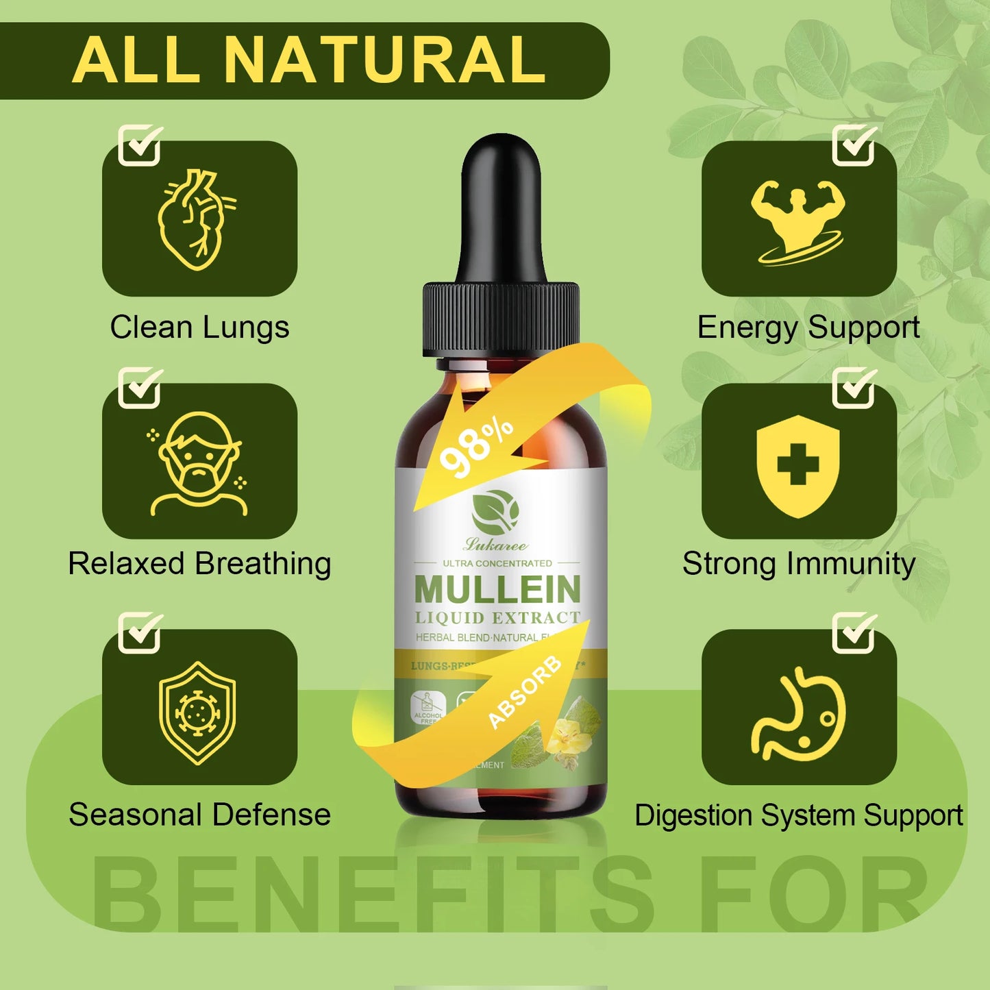 Mullein Drops for Lungs - Mullein Leaf Extract Supplement - Lung & Bronchial Cleanse - Respiratory Health Support